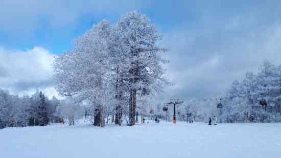 やっぱり野沢は別格|野沢温泉スキー場のクチコミ画像