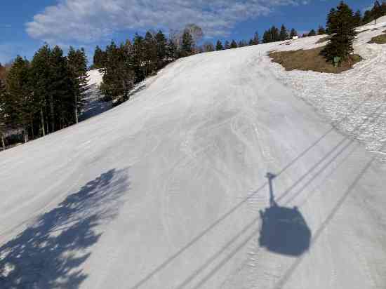 コースが選べるから