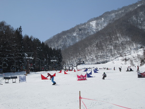 観戦楽しい|White Resort 白馬さのさかのクチコミ画像