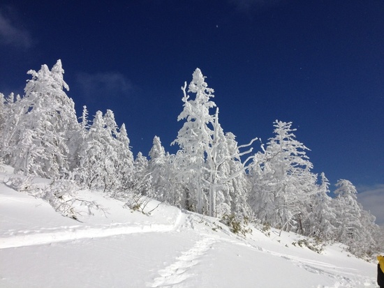 雪質が最高！|のクチコミ画像
