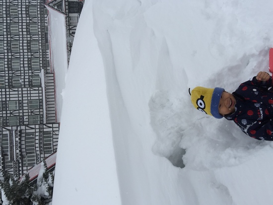 ふかふかな雪で大はしゃぎ|白馬コルチナスキー場のクチコミ画像