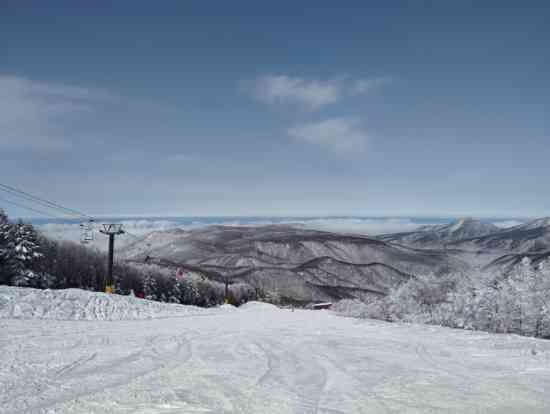 雪|奥志賀高原スキー場のクチコミ画像