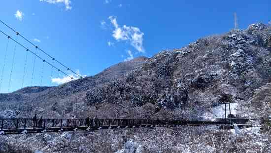 ワンダーランドかたしなレビューキャンペーン