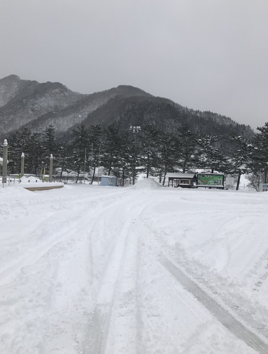 今年も 宝台樹へ|群馬みなかみほうだいぎスキー場（旧 宝台樹スキー場）のクチコミ画像