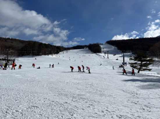 空いていて広々としたゲレンデ|白樺高原国際スキー場のクチコミ画像