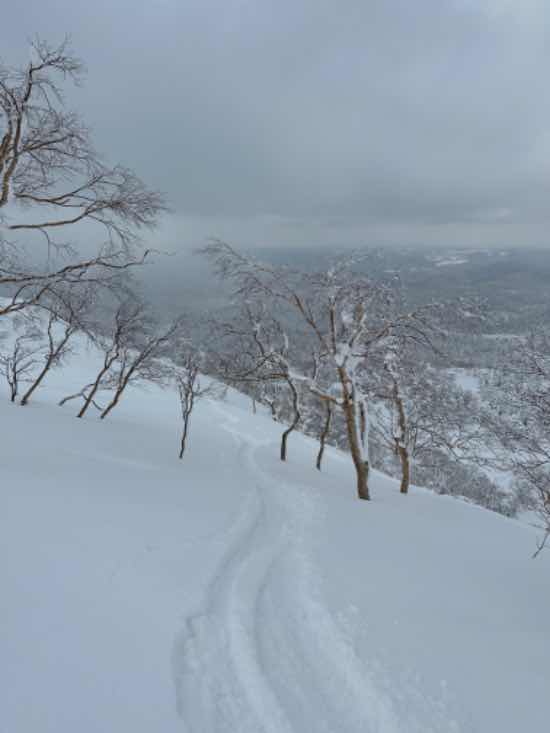 少雪|大雪山旭岳ロープウェイのクチコミ画像