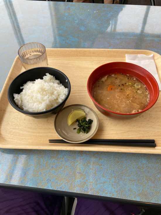 スキーヤーオンリー