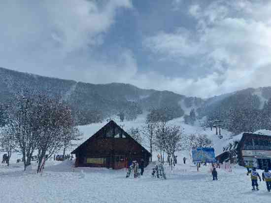 雪質かなり良いです☃️|タングラムスキーサーカスのクチコミ画像