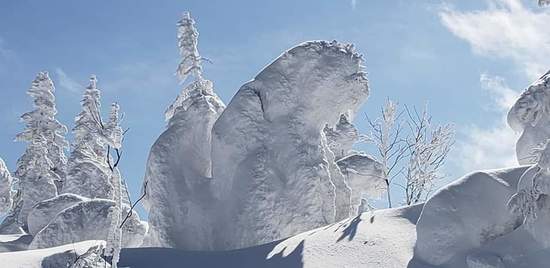 雪質、斜度、コース幅、樹氷最高でした。|蔵王ライザワールドのクチコミ画像
