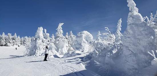 雪質、斜度、コース幅、樹氷最高でした。|蔵王ライザワールドのクチコミ画像2