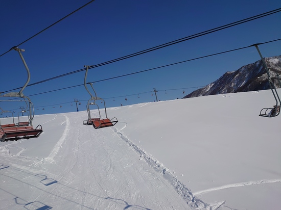 リーピートです！|岩原スキー場のクチコミ画像