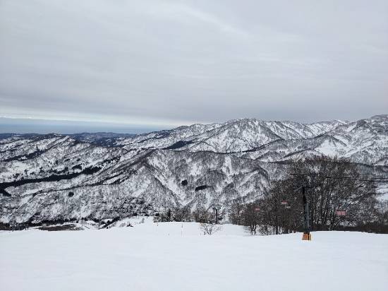 雪質最高