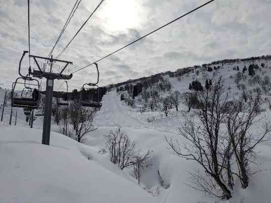 雪質最高|シャルマン火打スキー場のクチコミ画像3