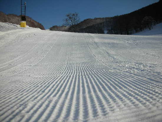 晴れました|のクチコミ画像