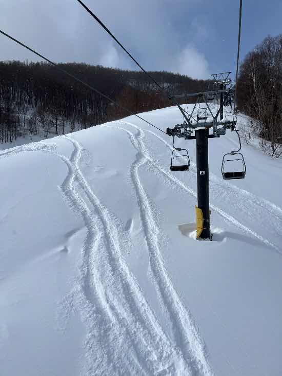 ワンダーランドかたしなレビューキャンペーン|オグナほたかスキー場のクチコミ画像