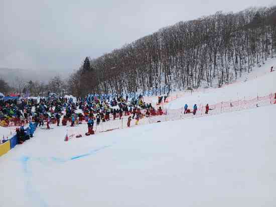 全日本スキー技術選手権大会