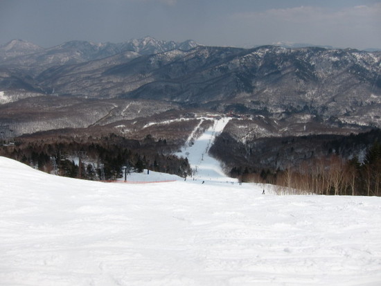 2014/04/27（日）　長野県 奥志賀高原の速報|のクチコミ画像