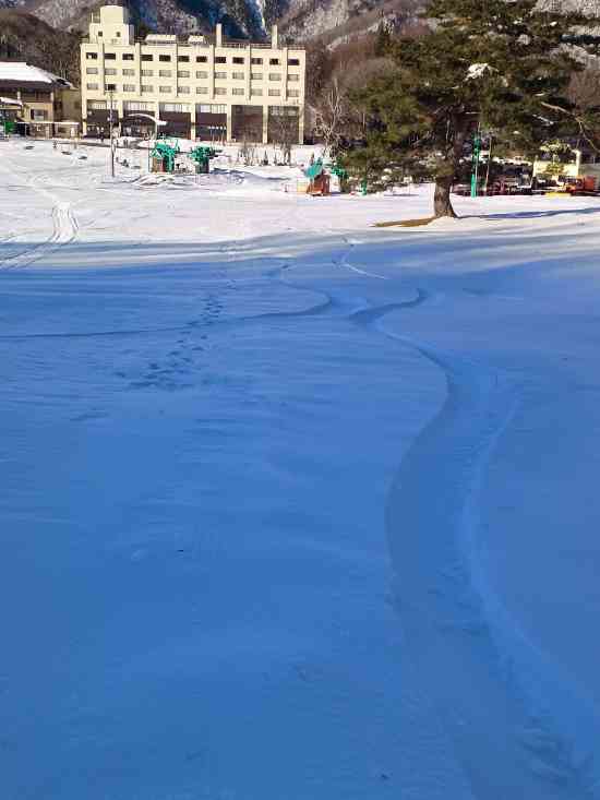 ファミリースキー場|水上高原・奥利根温泉 藤原スキー場のクチコミ画像2