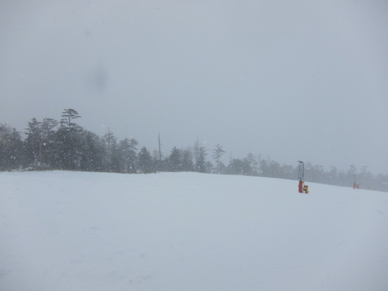 やっぱり雪質が良すぎるぞ、このスキー場！|御嶽スキー場（旧 Ontake2240）のクチコミ画像