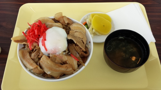 ポークオグナほたか丼|オグナほたかスキー場のクチコミ画像