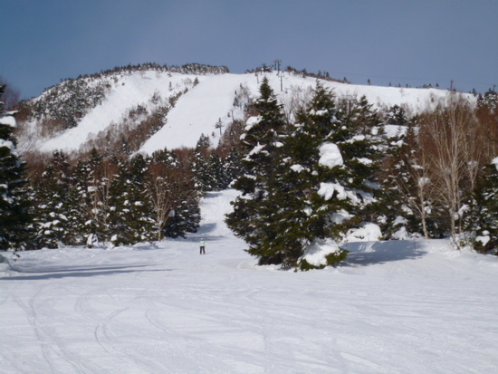 雪質最高|志賀高原 焼額山スキー場のクチコミ画像