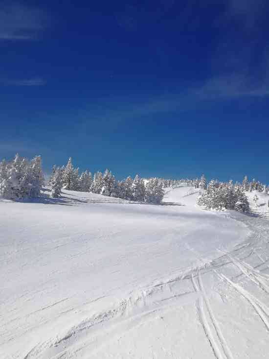 ワンダーランドかたしなレビューキャンペーン|かたしな高原スキー場のクチコミ画像