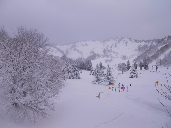 大雪|湯沢中里スノーリゾートのクチコミ画像