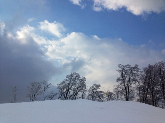 新雪狙ってシャルマン！|のクチコミ画像
