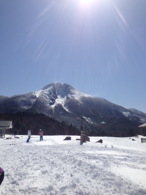 春でも|のクチコミ画像