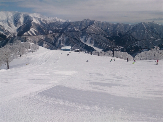 雪がきれい|苗場スキー場のクチコミ画像
