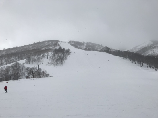 凄い軽い雪|かぐらスキー場のクチコミ画像