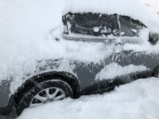 大雪です|ダイナランドのクチコミ画像