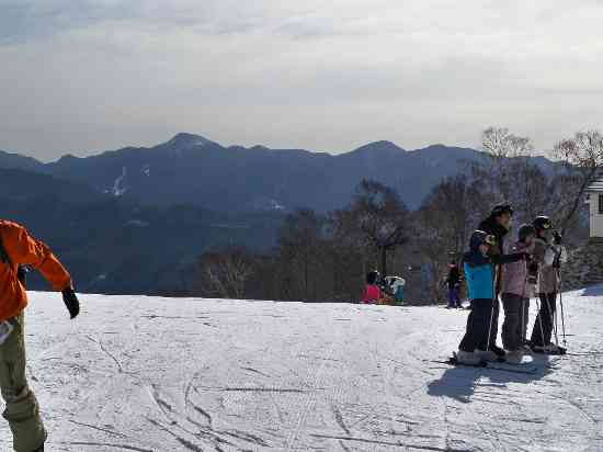 エリア全体の満足度が高い「ワンダーランドかたしなレビューキャンペーン」