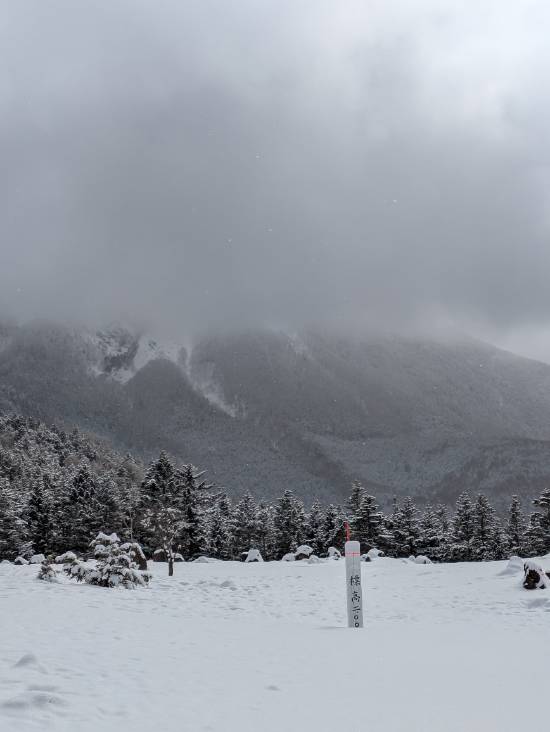 ワンダーランドかたしなレビューキャンペーン