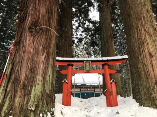 よさげな名前のお社で安全滑走祈願|北志賀高原小丸山スキー場のクチコミ画像