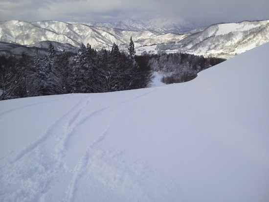 パウダー|湯殿山スキー場のクチコミ画像