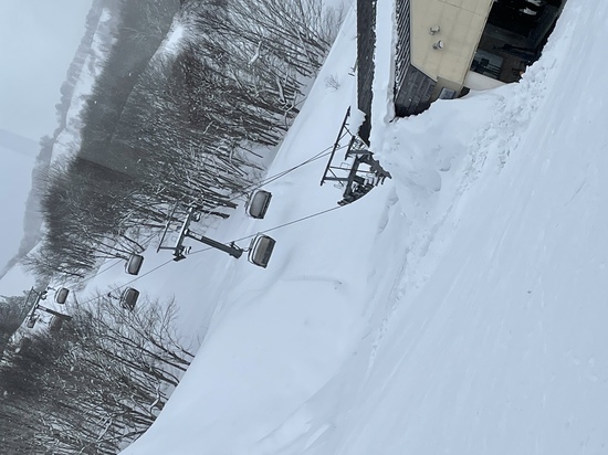 雪がふかふか|福井和泉スキー場のクチコミ画像