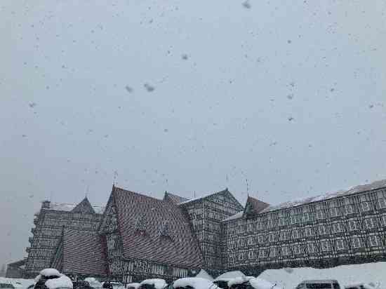 いい雪降ってました|のクチコミ画像