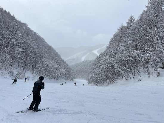 尾瀬岩鞍きました|ホワイトワールド尾瀬岩鞍のクチコミ画像