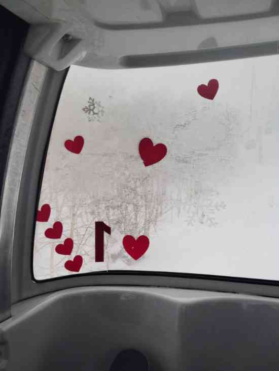 パウダー|志賀高原 焼額山スキー場のクチコミ画像