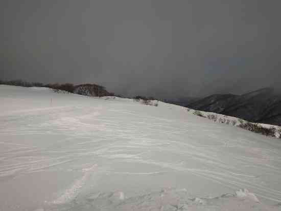寒波で滋賀ふわふわパウダー♪