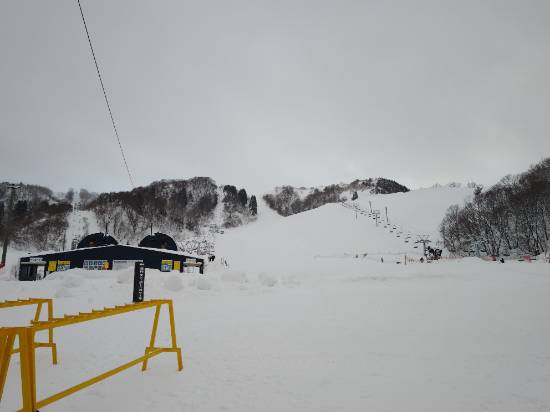 寒波で滋賀ふわふわパウダー♪|余呉高原リゾート・ヤップのクチコミ画像2