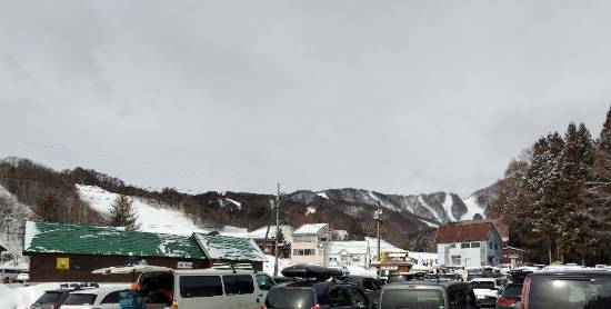 ワンダーランドかたしなレビューキャンペーン