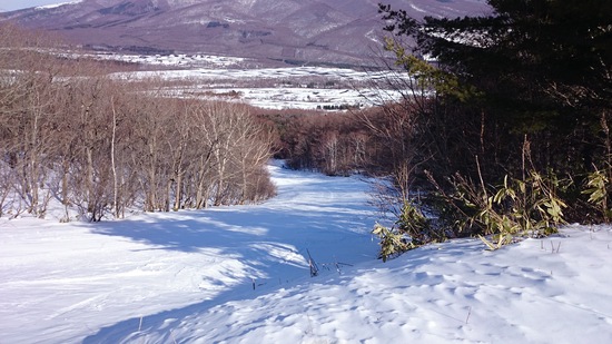 雪が少なく残念|鹿沢スノーエリアのクチコミ画像