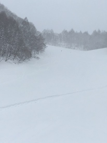 安定の水上高原|水上高原スキーリゾートのクチコミ画像