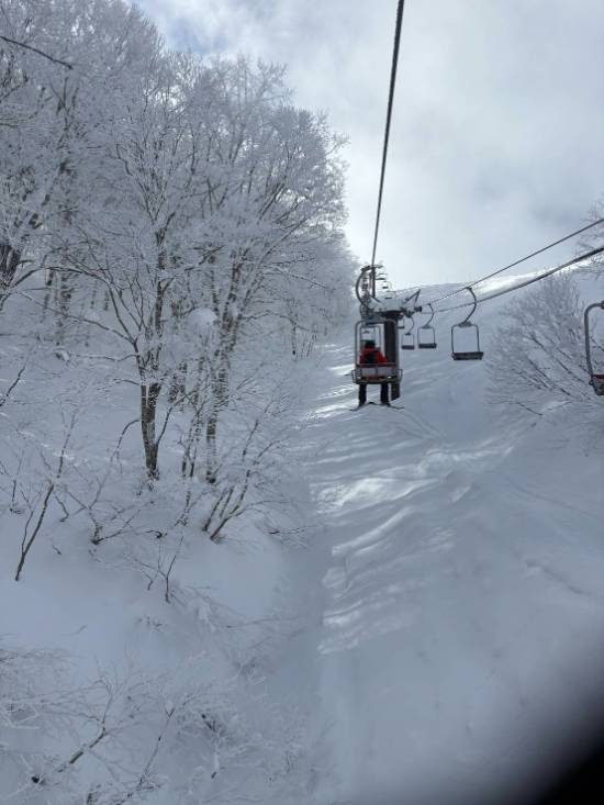 猫魔！|星野リゾート ネコマ マウンテン(旧アルツ磐梯＆猫魔スキー場…のクチコミ画像