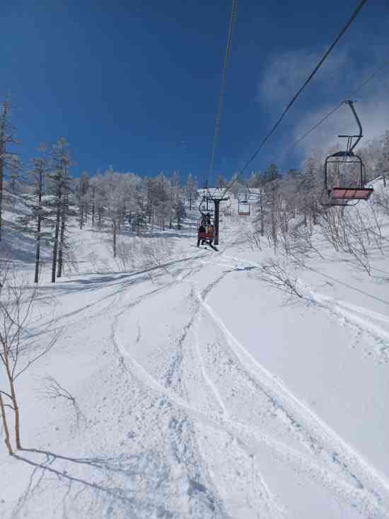 今年最後?? のパウダー