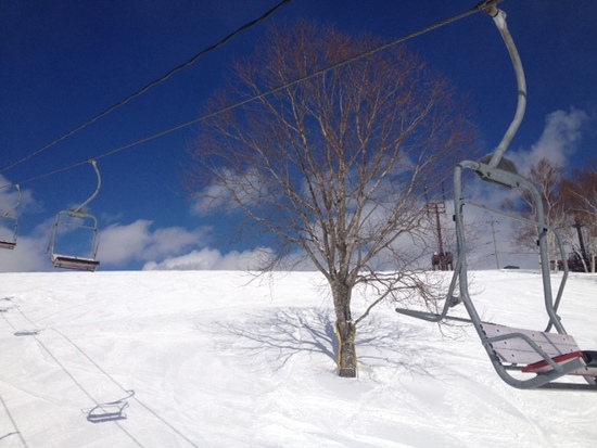 パークが充実|のクチコミ画像