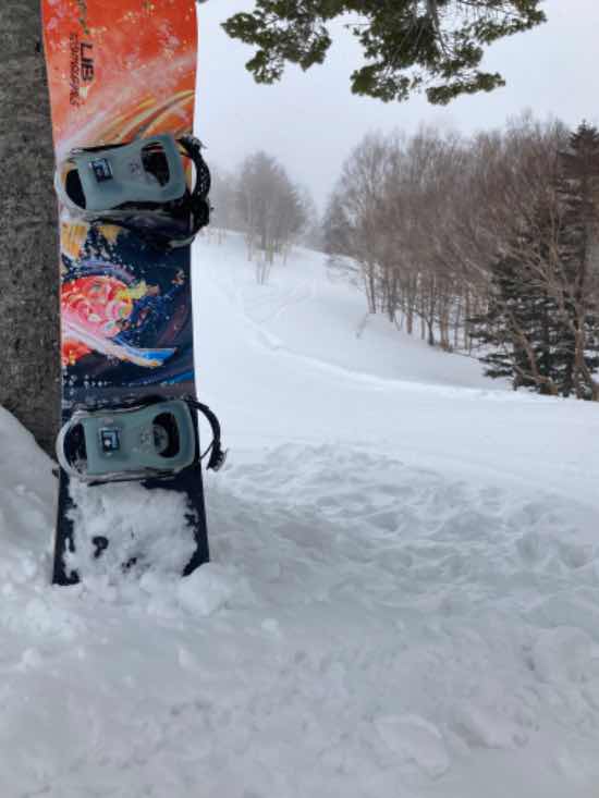 粉雪舞う中