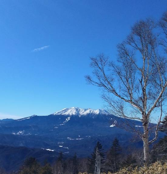 快晴木曽福島|のクチコミ画像